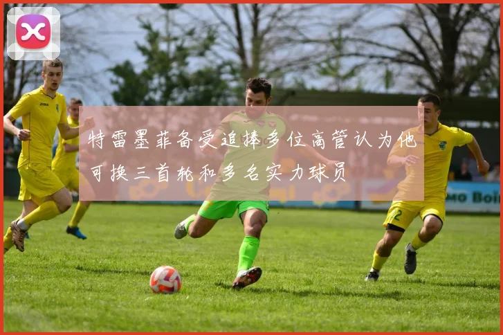 特雷墨菲备受追捧多位高管认为他可换三首轮和多名实力球员