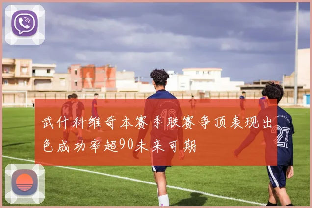 武什科维奇本赛季联赛争顶表现出色成功率超90未来可期