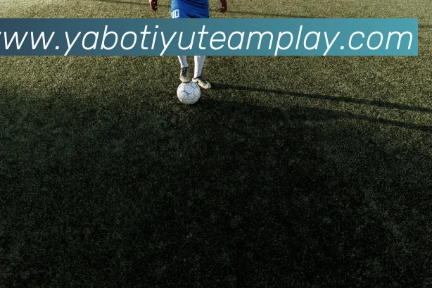 亚博体育APP 封面图